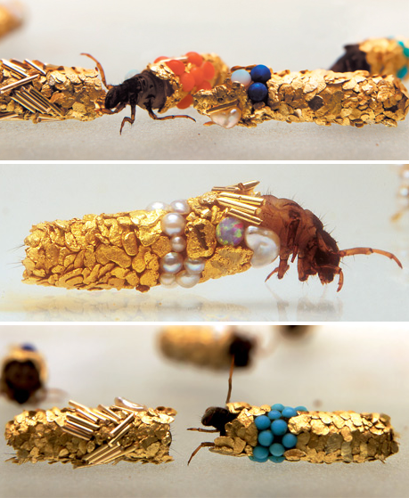 caddisfly-jewelry-2.png