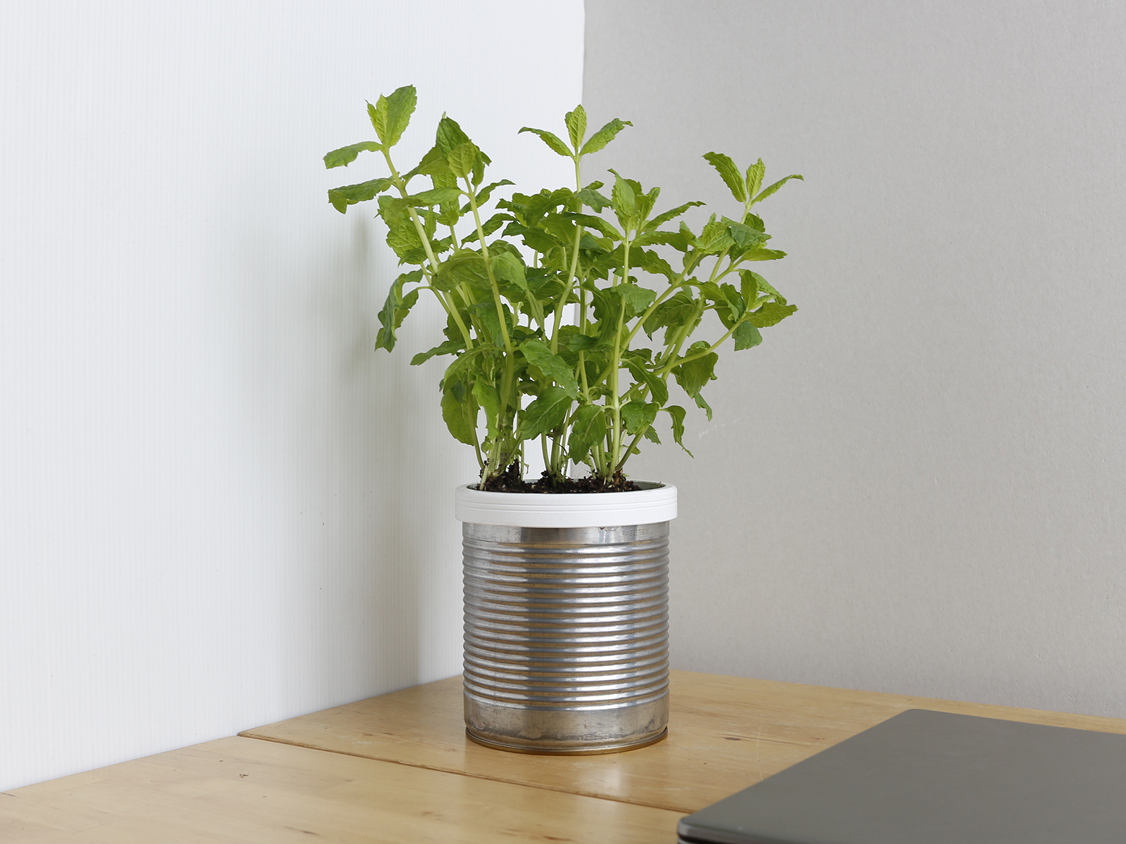 campbell_planter15.jpg