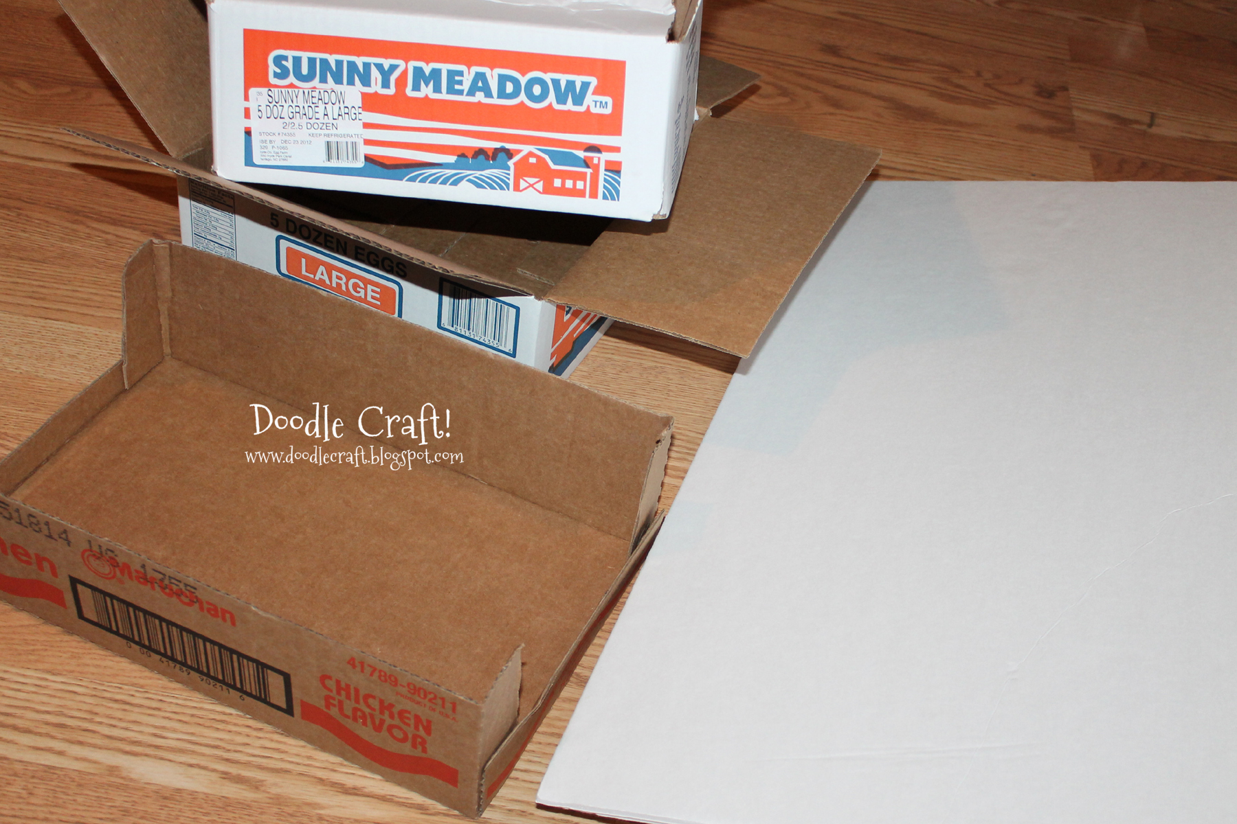 cardboard and duct tape contest.jpg
