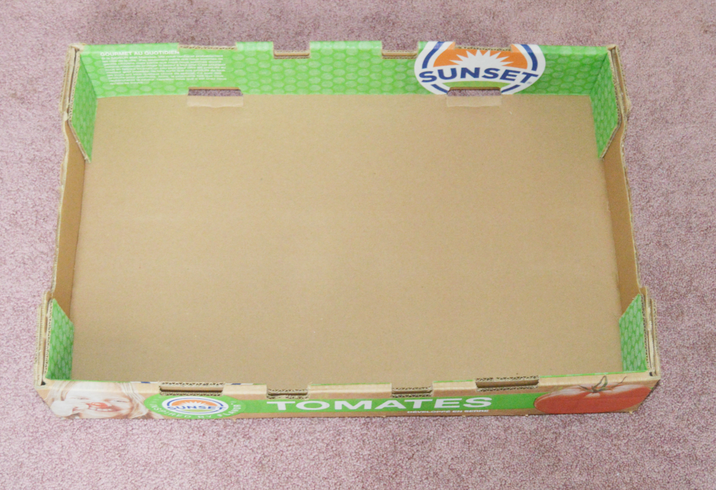 cardboard box.jpg