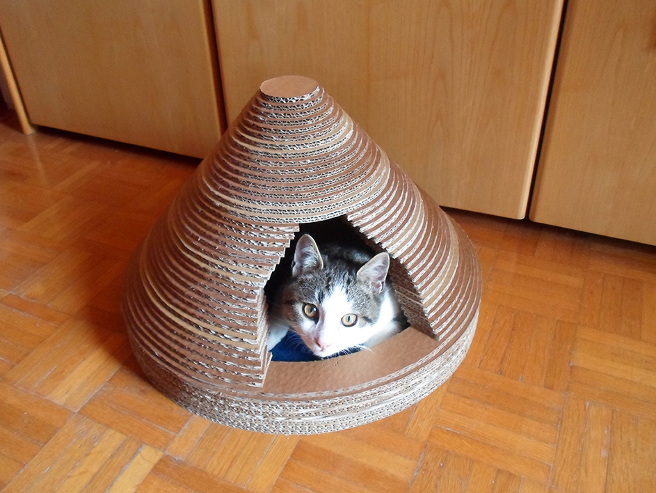 cardboard cat house.jpg