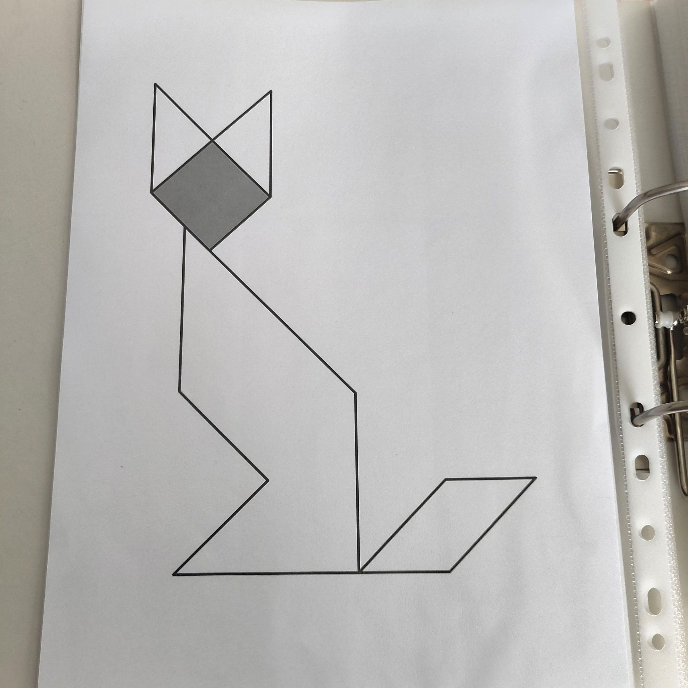 cat hint sq.jpg
