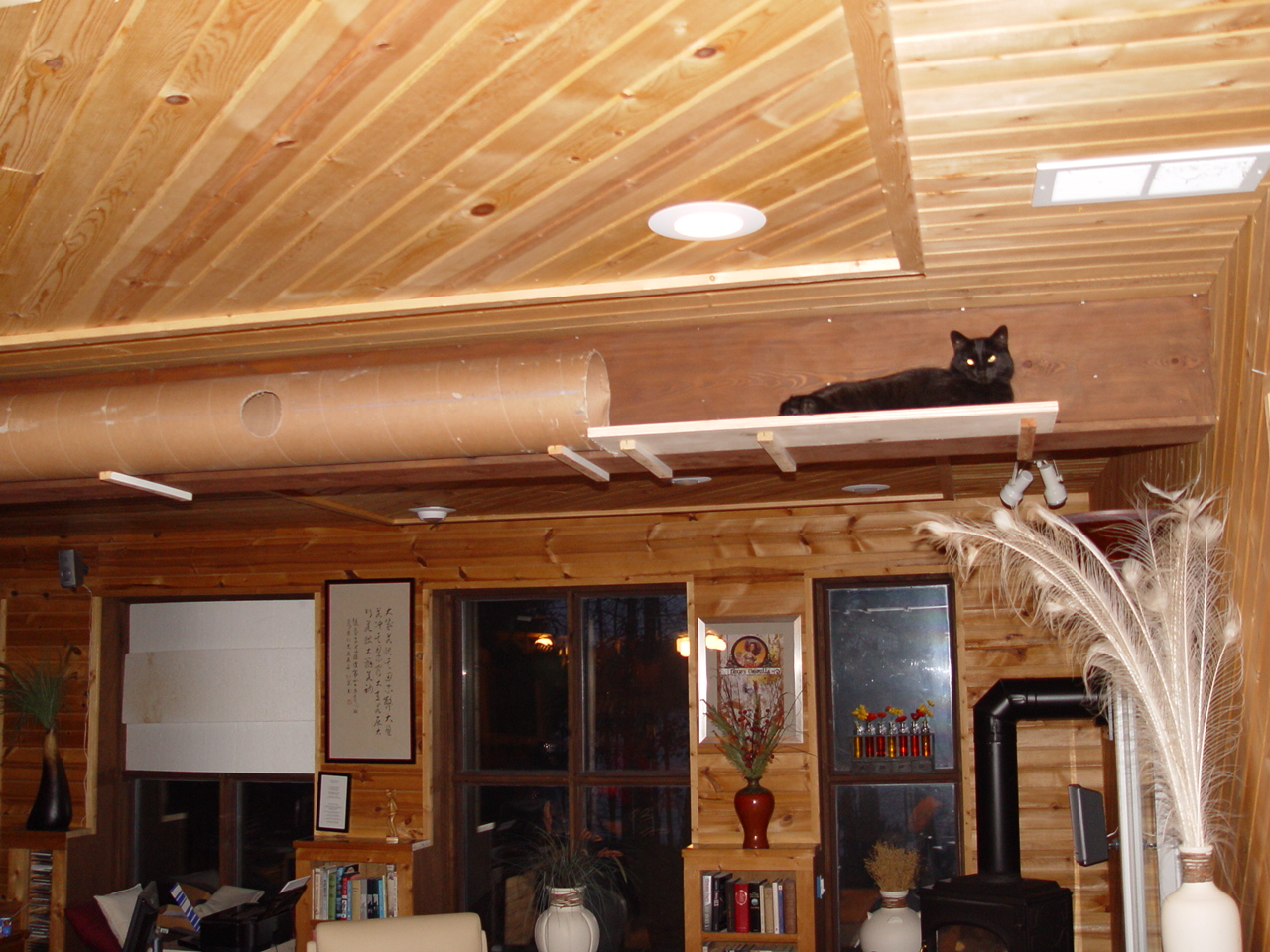cat maze 001.jpg
