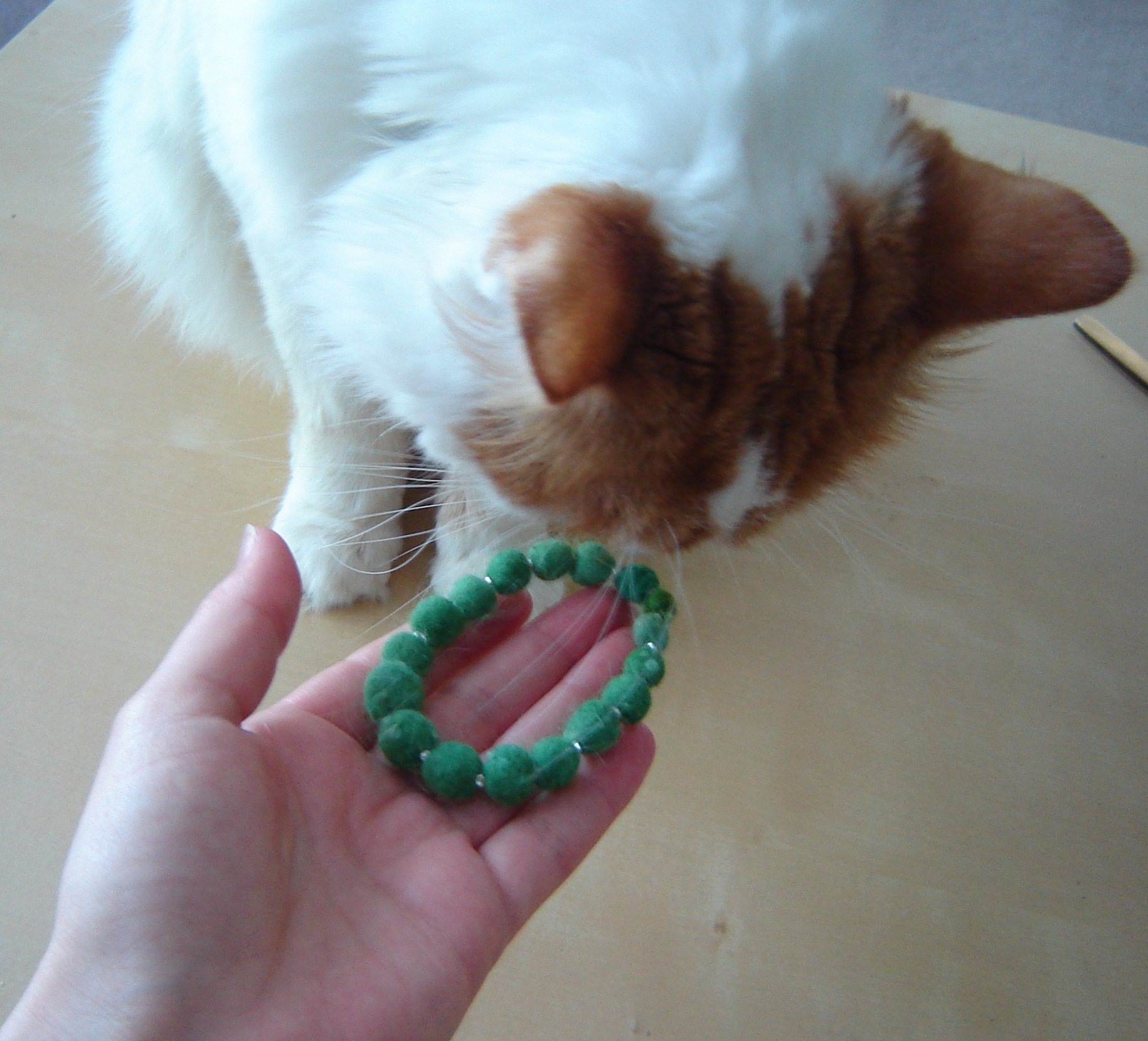 catbraclet.jpg