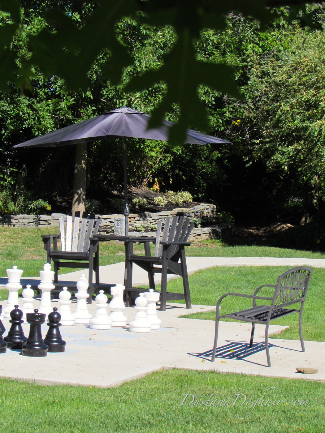 chess garden 2.jpg