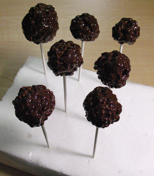 chocolate covered rice crispy pops 077s.jpg