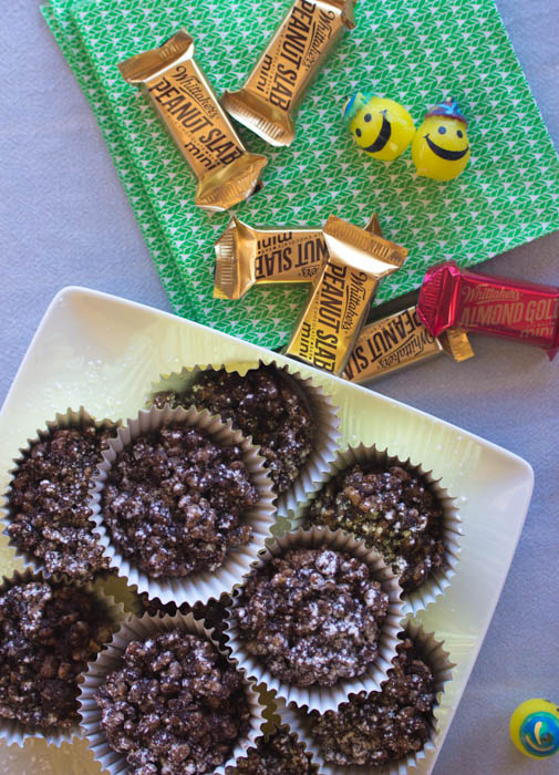 chocolate crackles vert.JPG