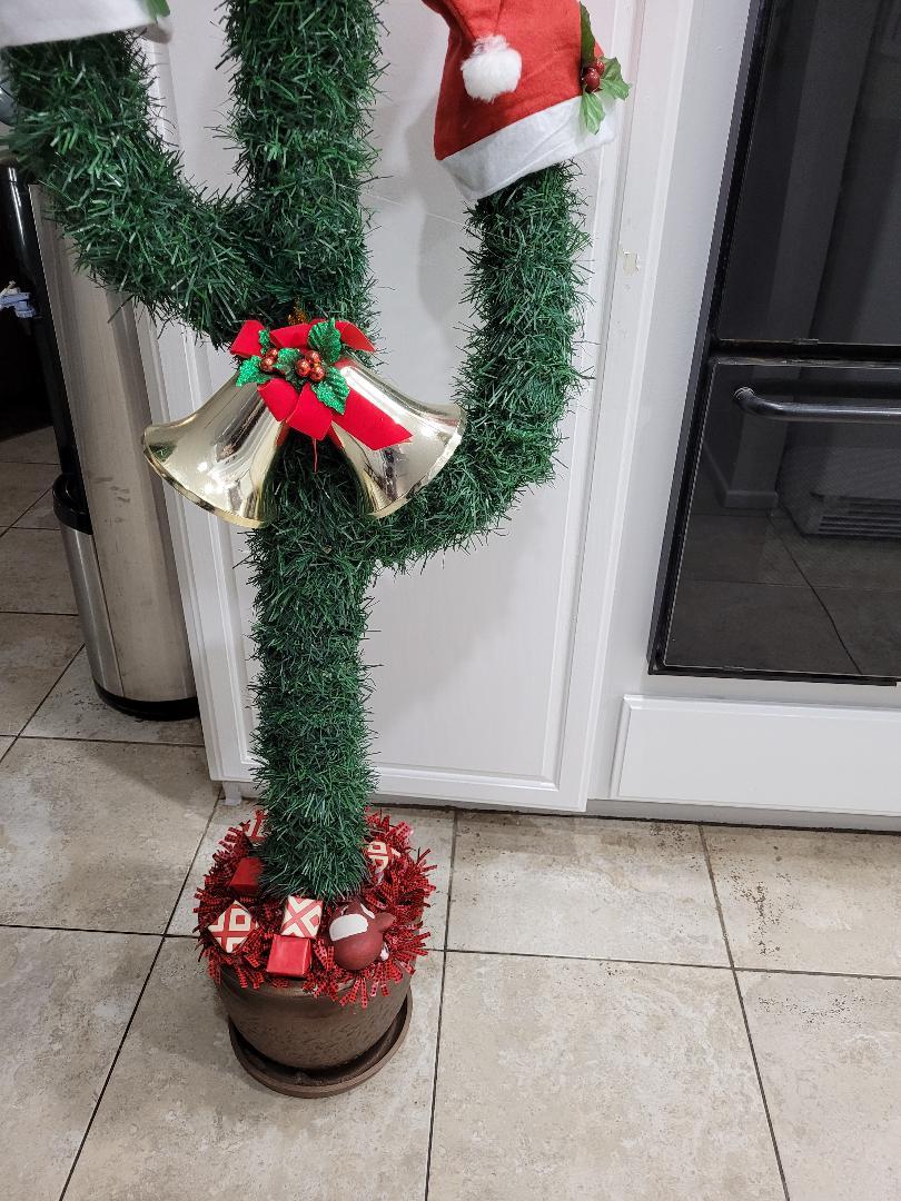 christmascactus10.jpg