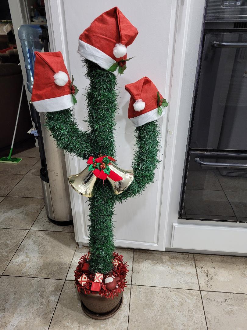 christmascactus12.jpg