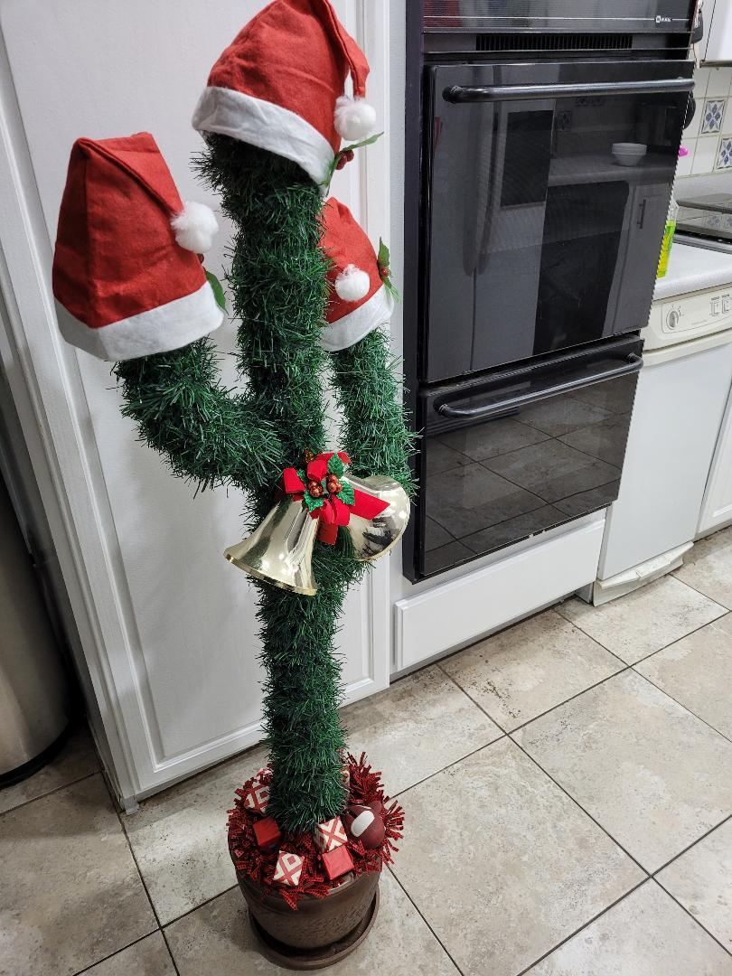 christmascactus6.jpg