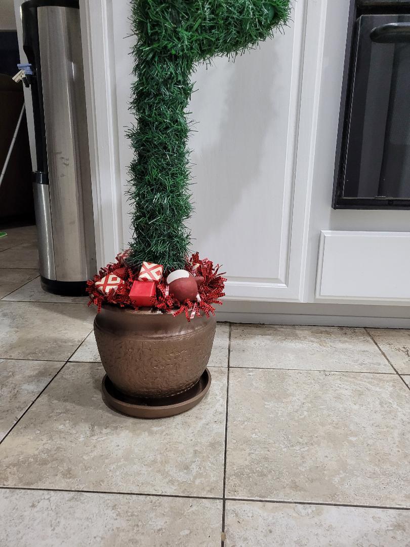 christmascactus9.jpg