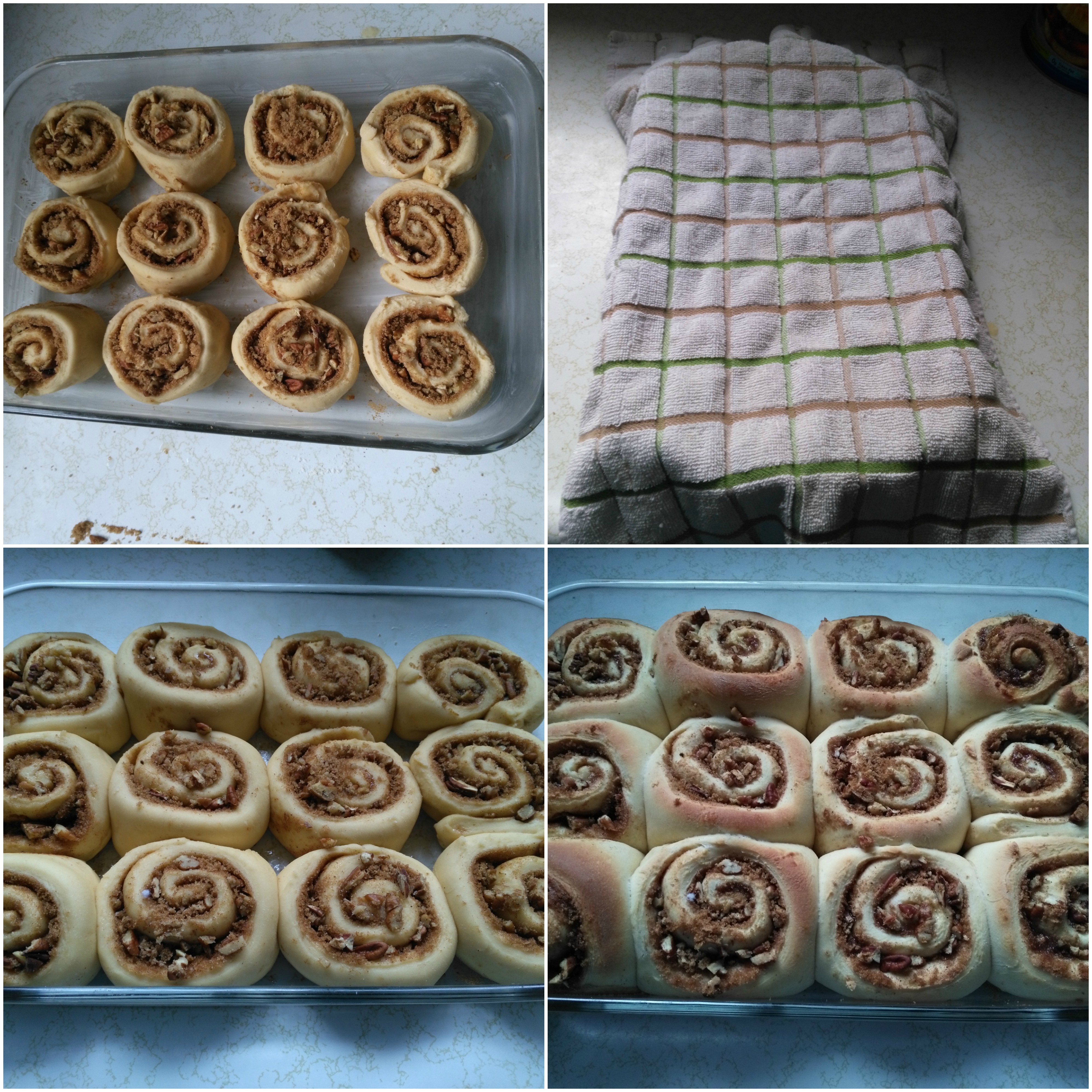 cinnamon roll collage 3.jpg