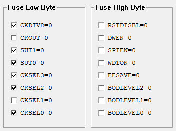 config01.jpg