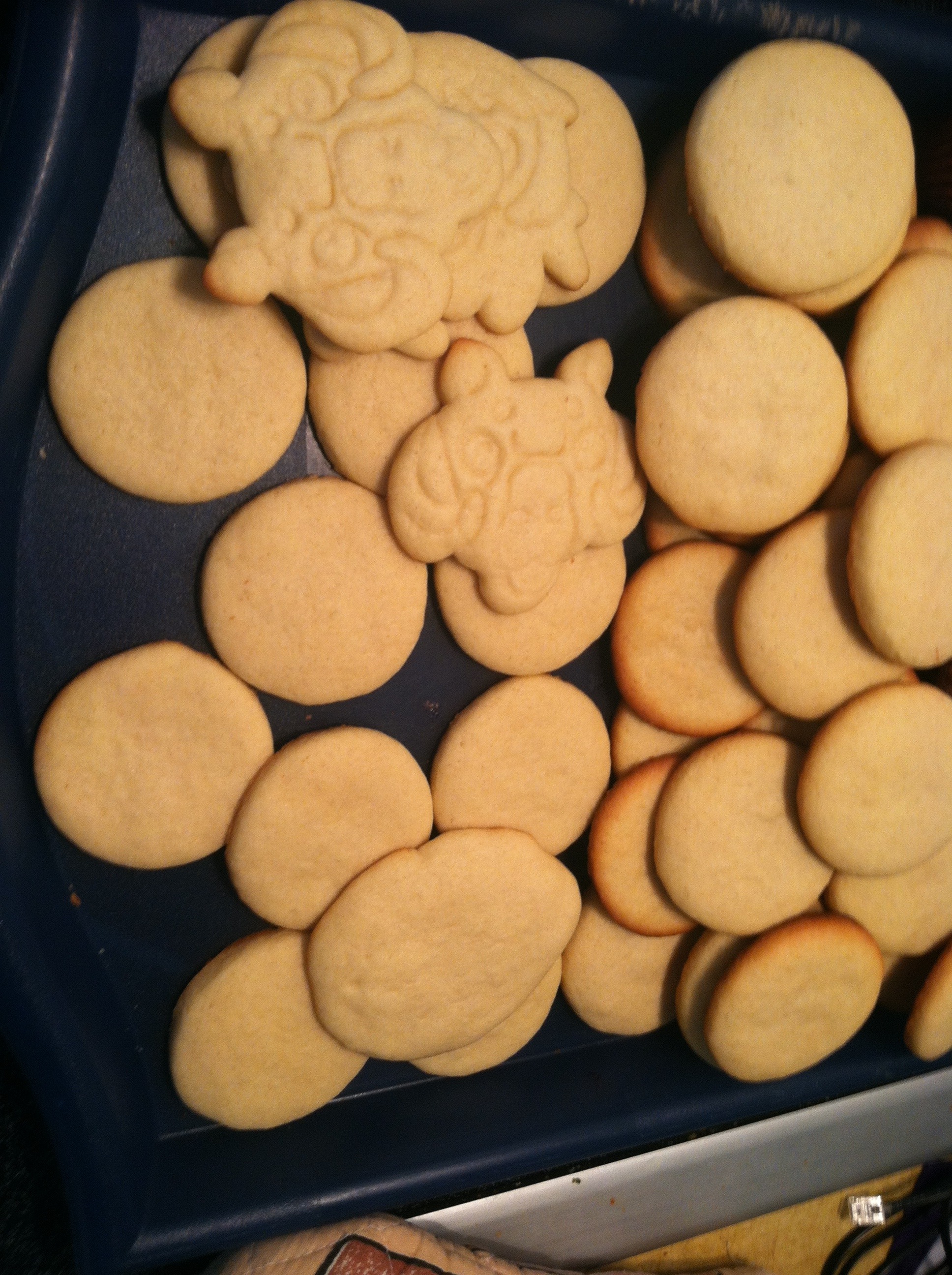 cookies.jpeg