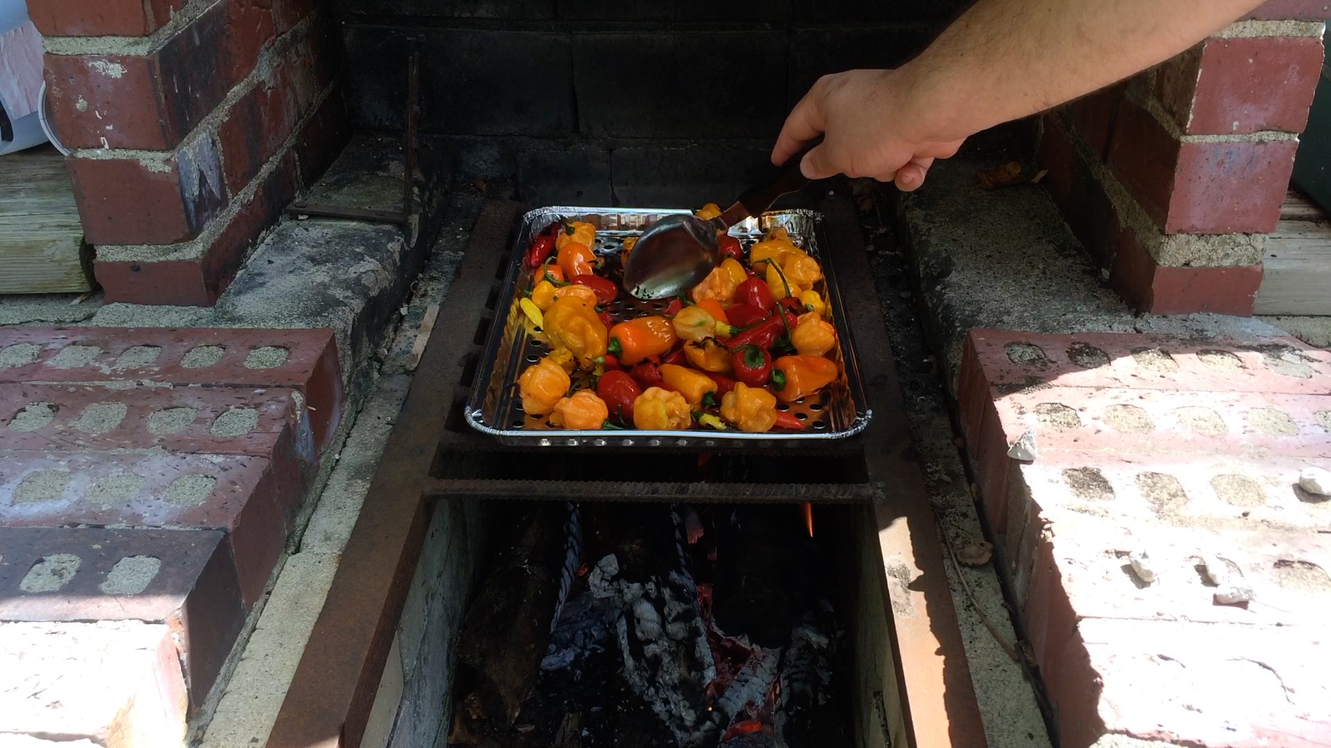 cooking peppers.jpg