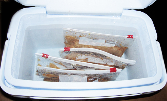 cooler_sousvide.jpg