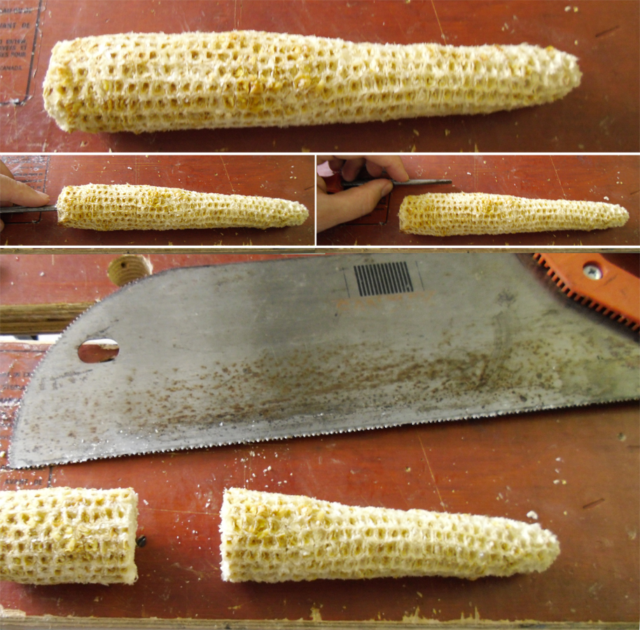 corn04.jpg