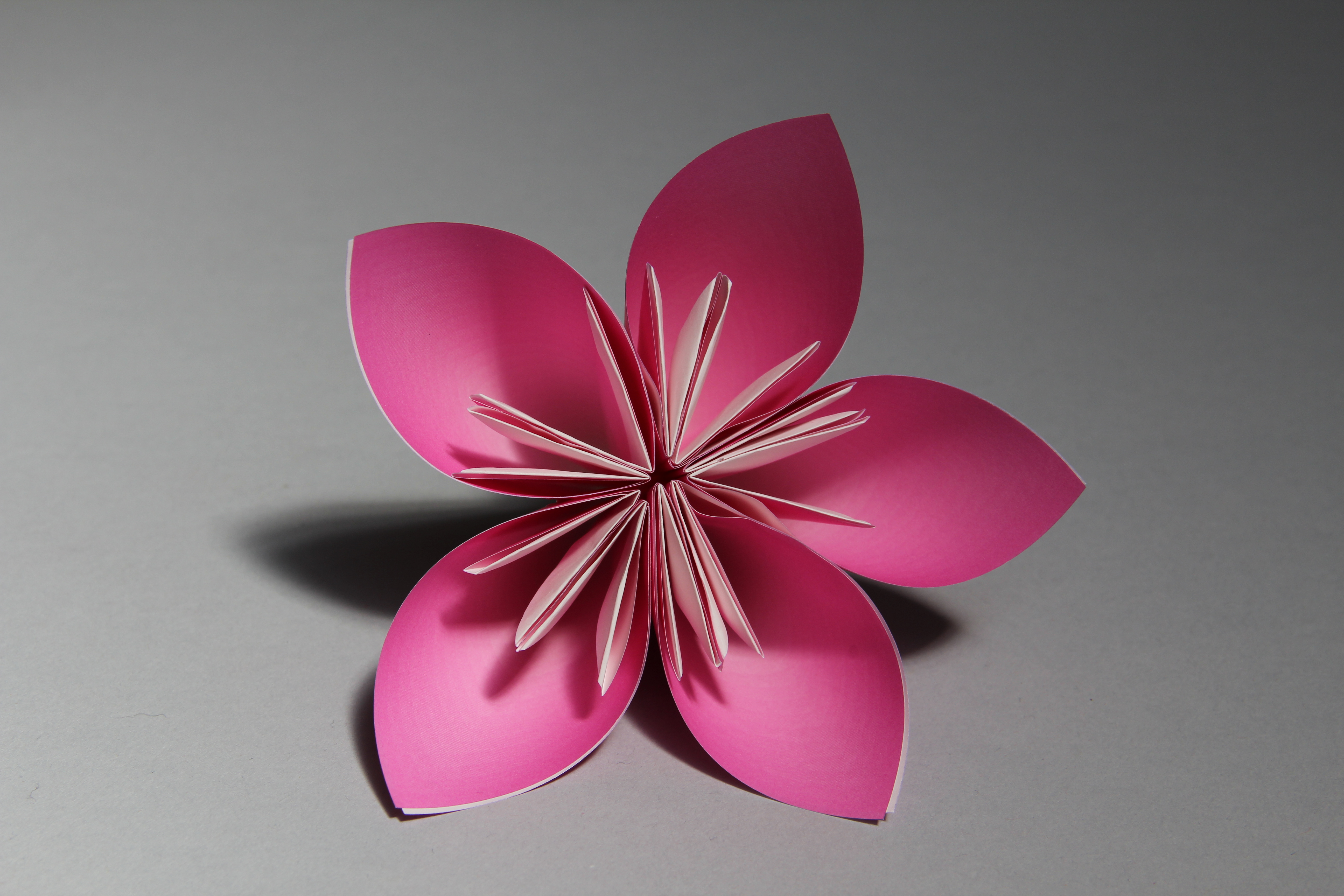 corsage 033.jpg
