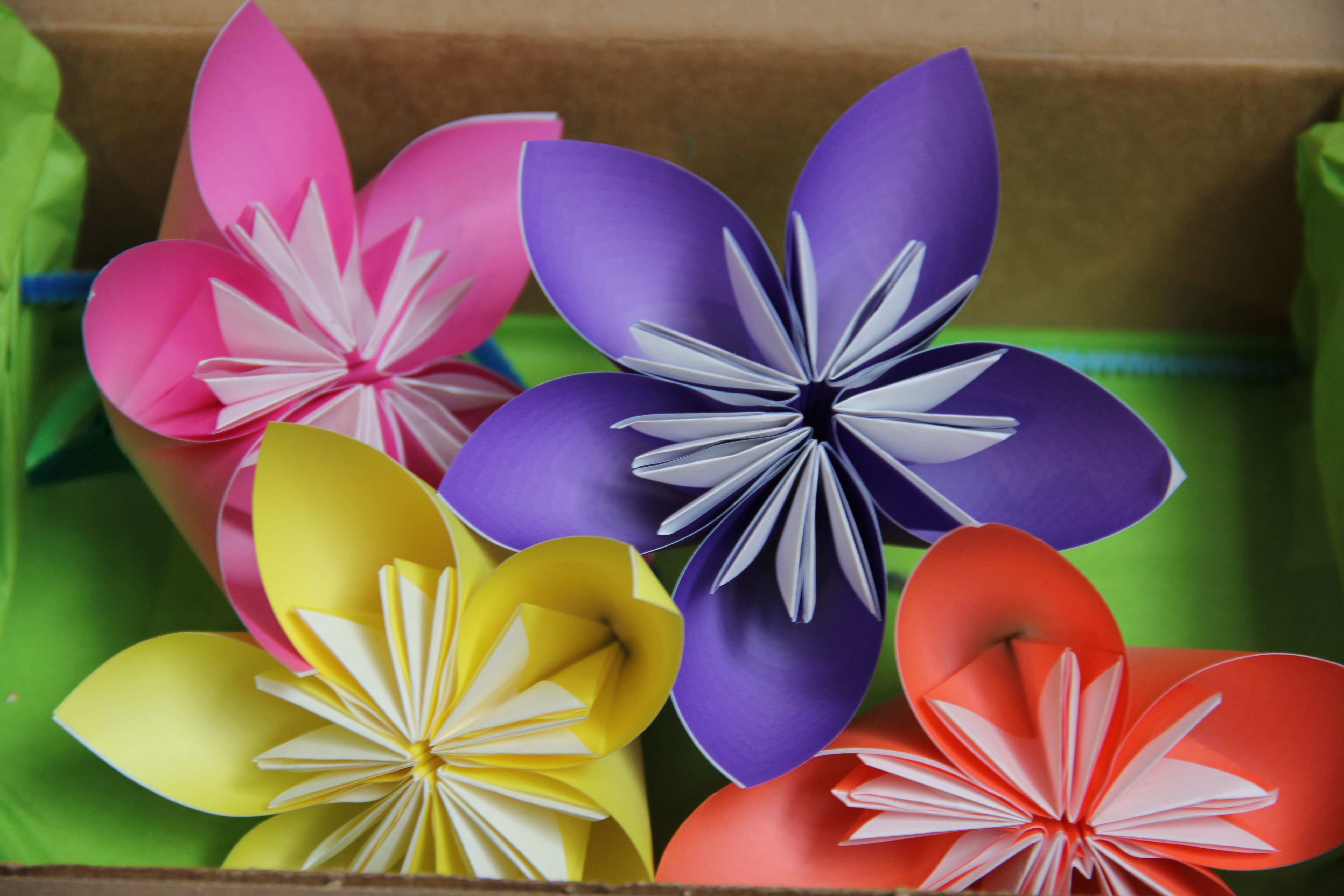 corsage 052.jpg