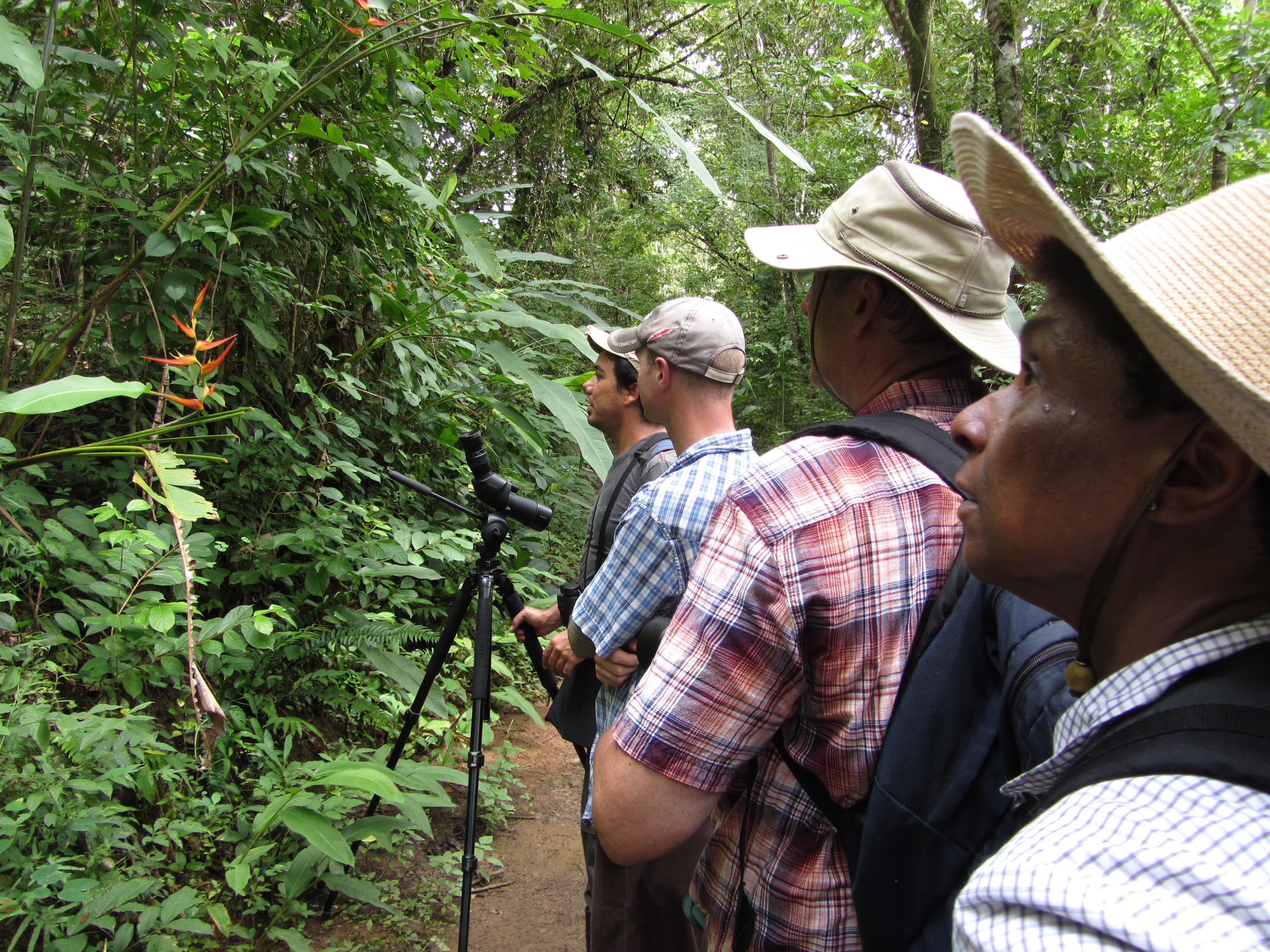 costa rica 2011 120.JPG