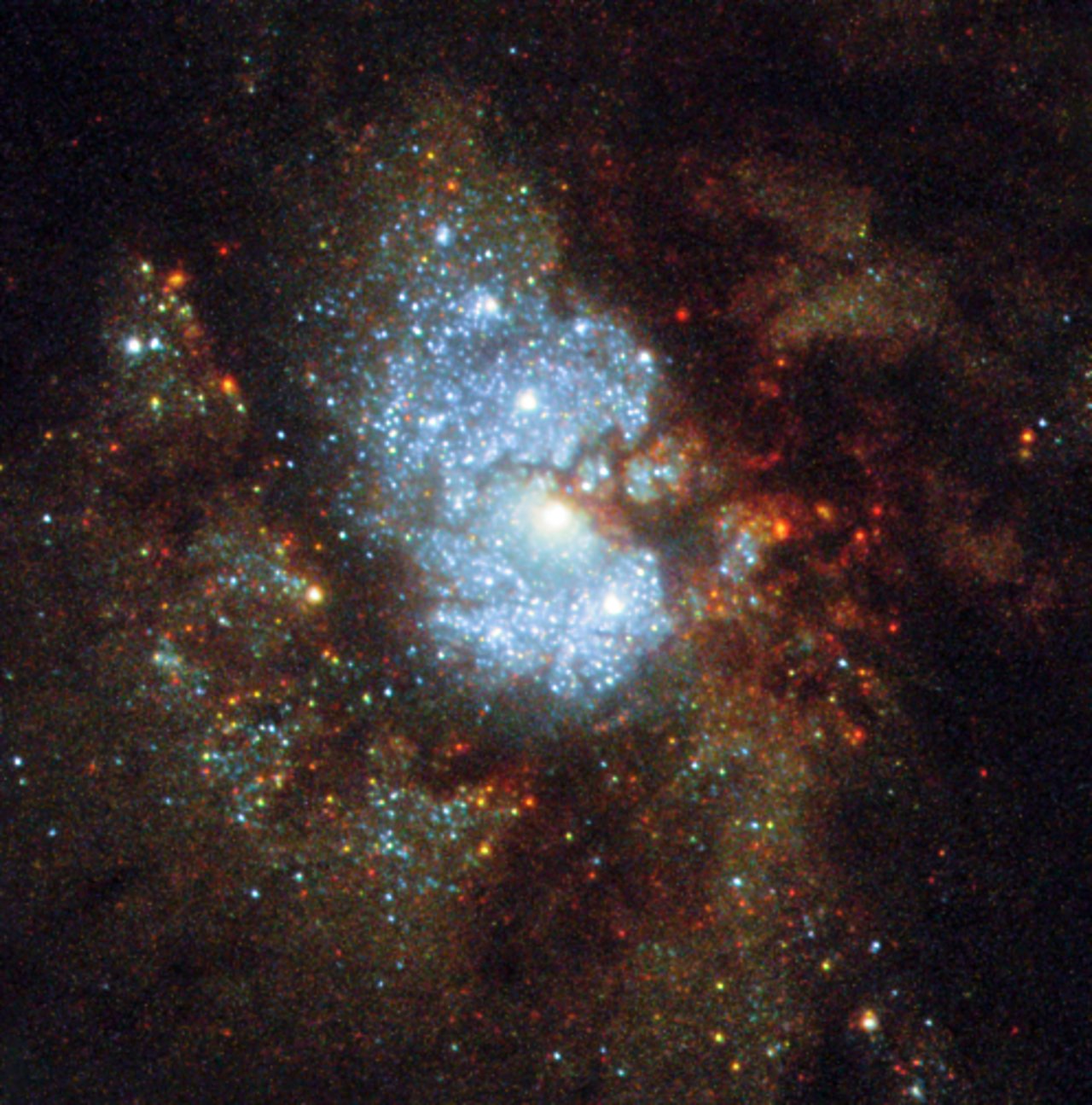 cpotw1727a-1.jpg