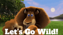 crazy-alex-lion-lets-go-wild.gif