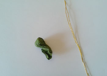 crepe-flower.jpg
