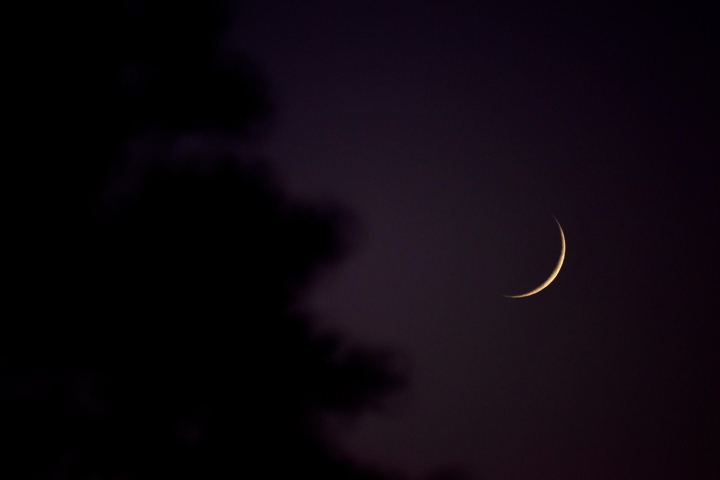 crescentMoon2.jpg