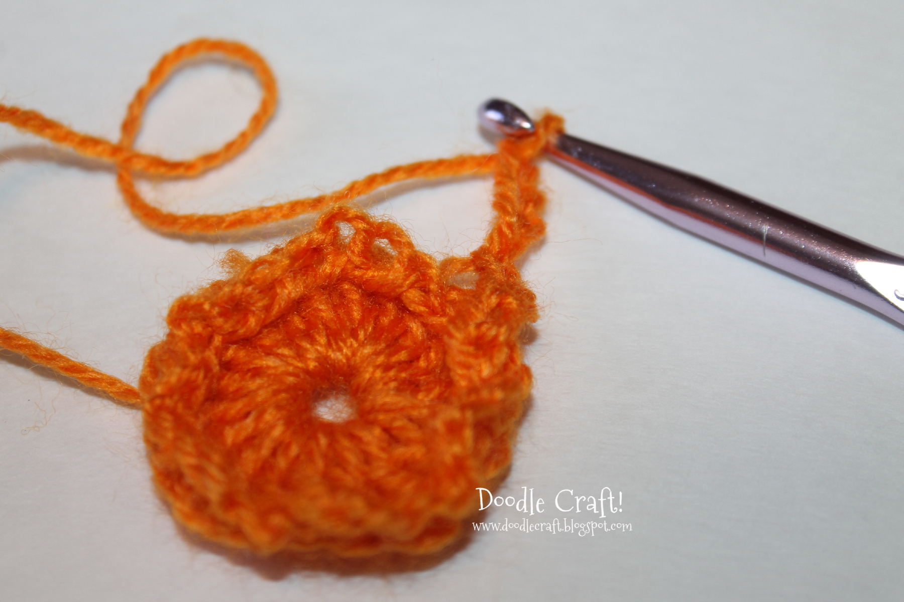 crochet a rosette step 10 chain around edge again.jpg