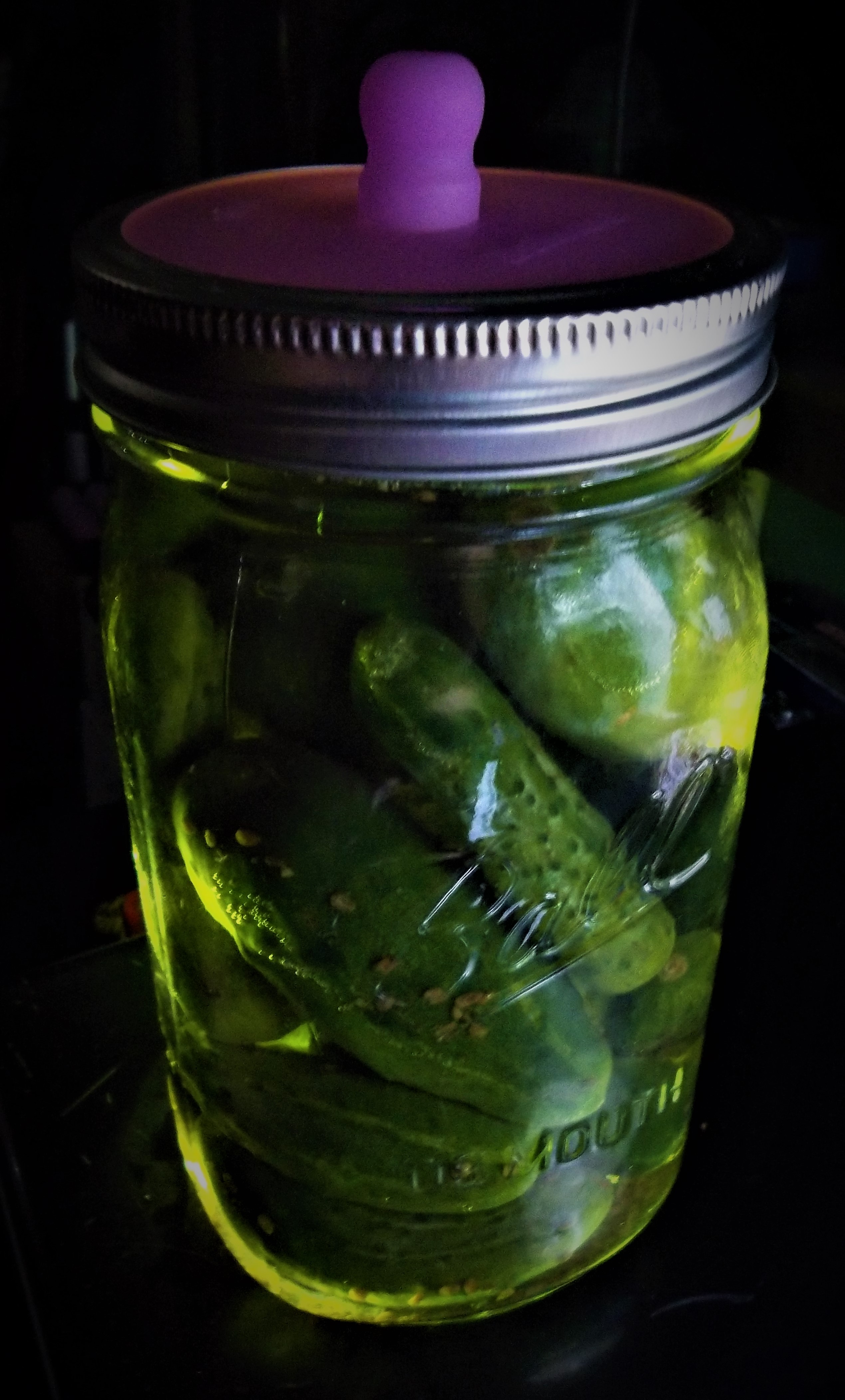 cucumber pickles.JPG