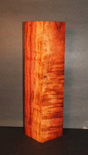 curly padauk.jpg