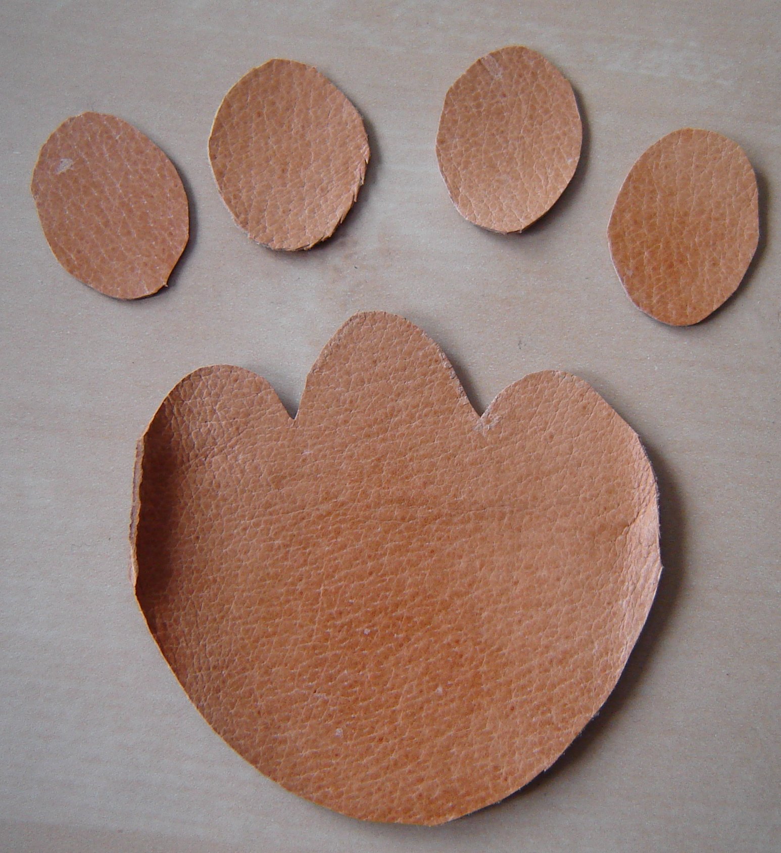 cutpaw.jpg