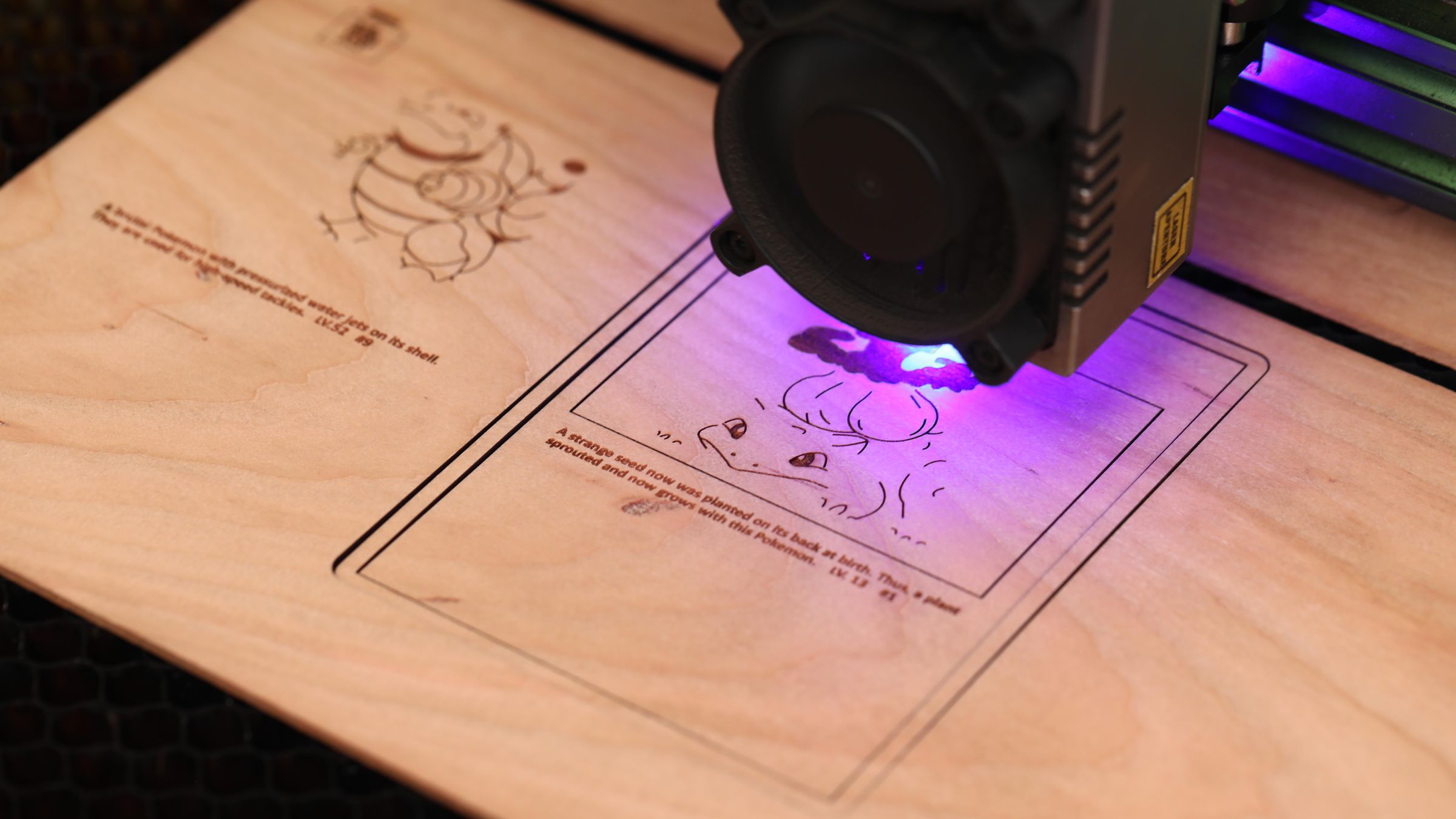 cutting (1).JPG