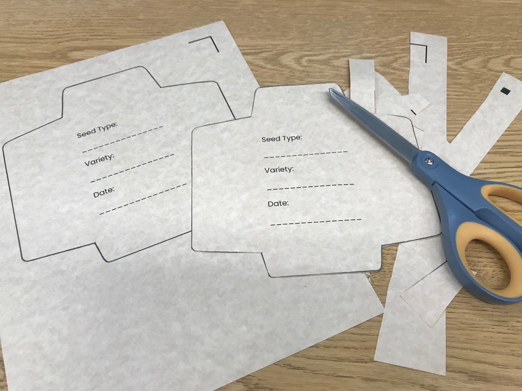 cutting out seed packet template.jpg