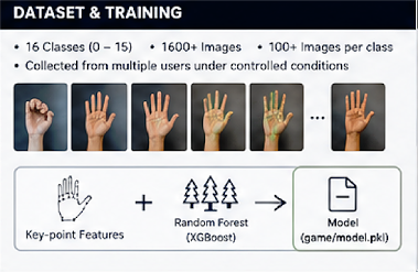 dataset (1) (1).png