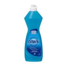 dawn.jpg
