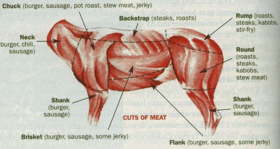 deer%20cutting%20chart2.jpg