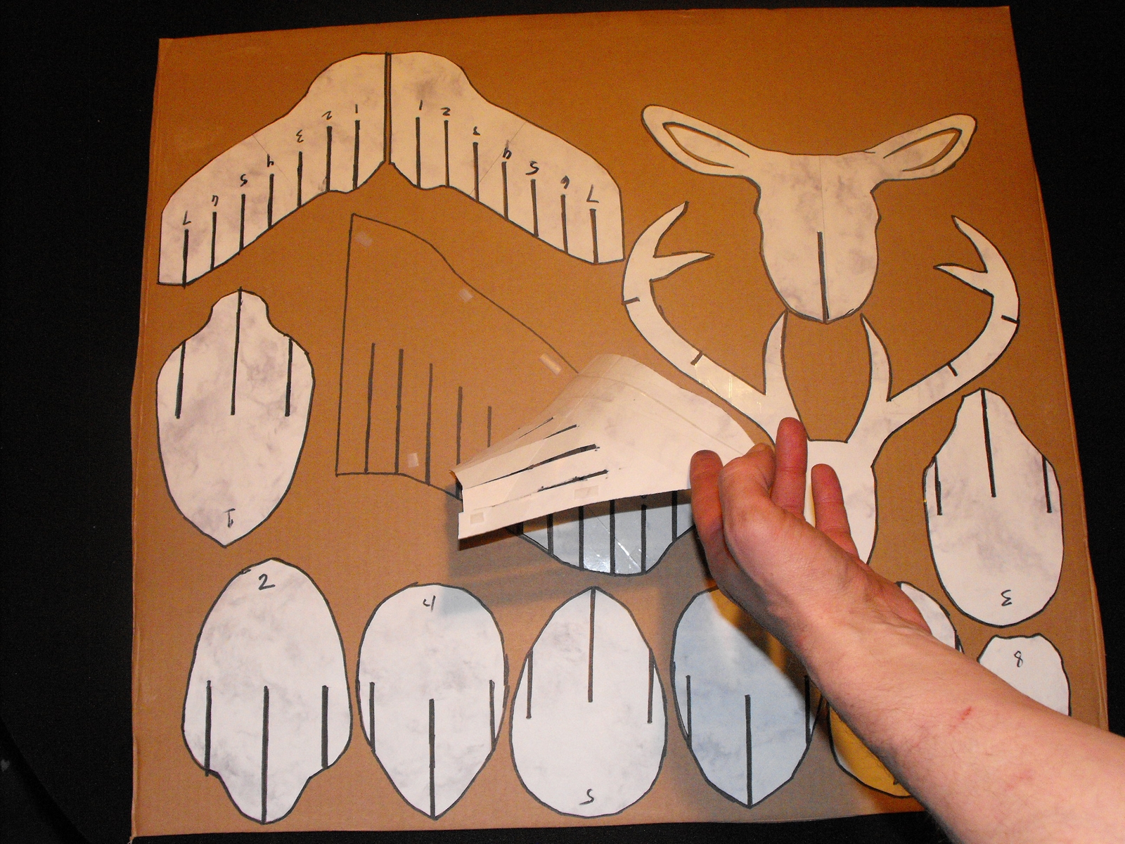 deer head (103).JPG