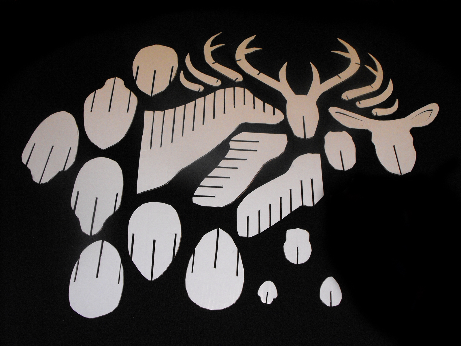 deer head (123).jpg