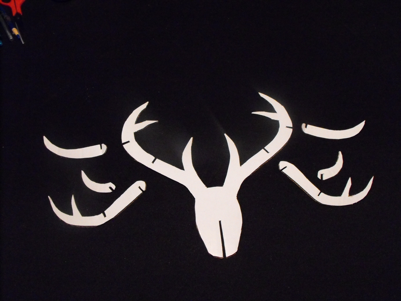 deer head (124).JPG