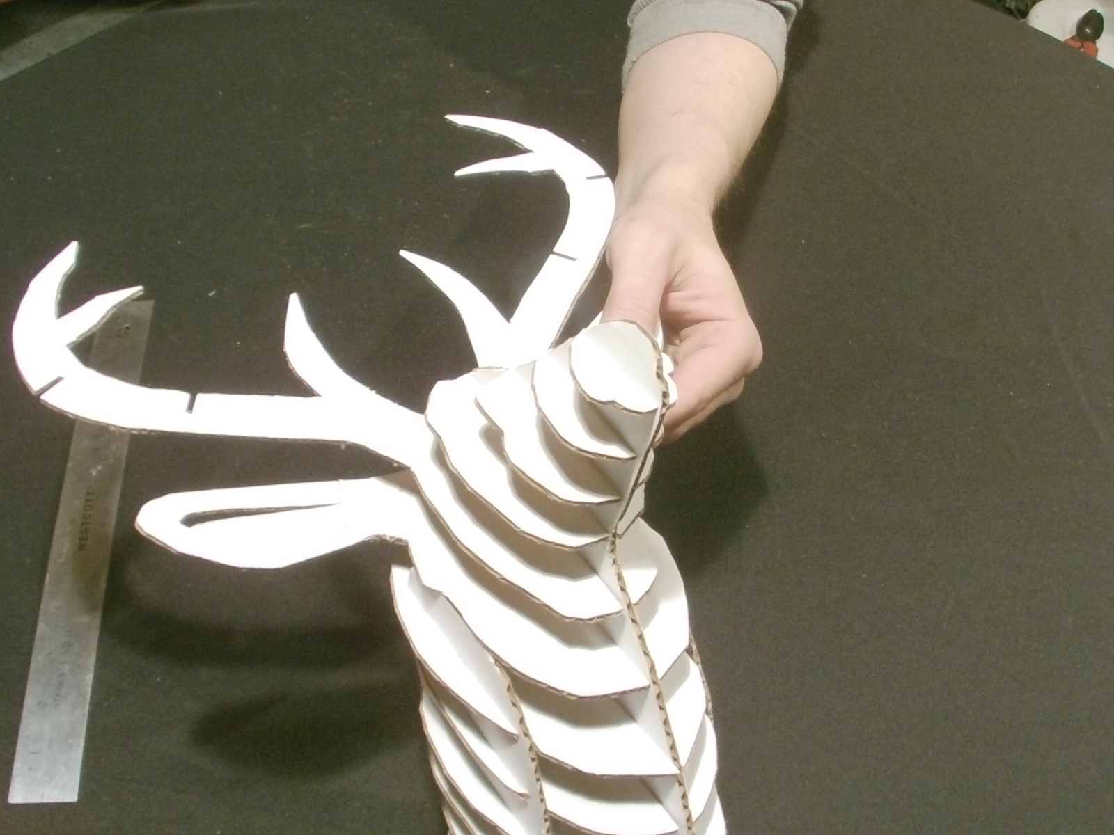 deer head (158).JPG