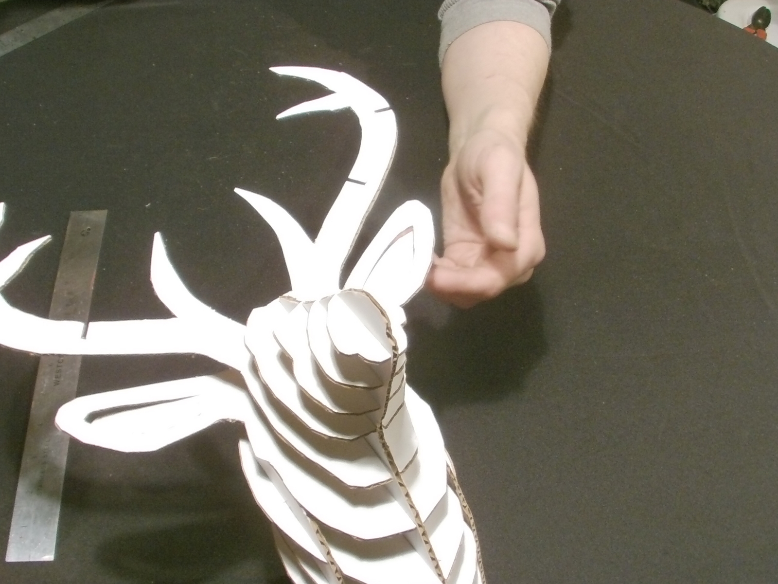 deer head (159).JPG