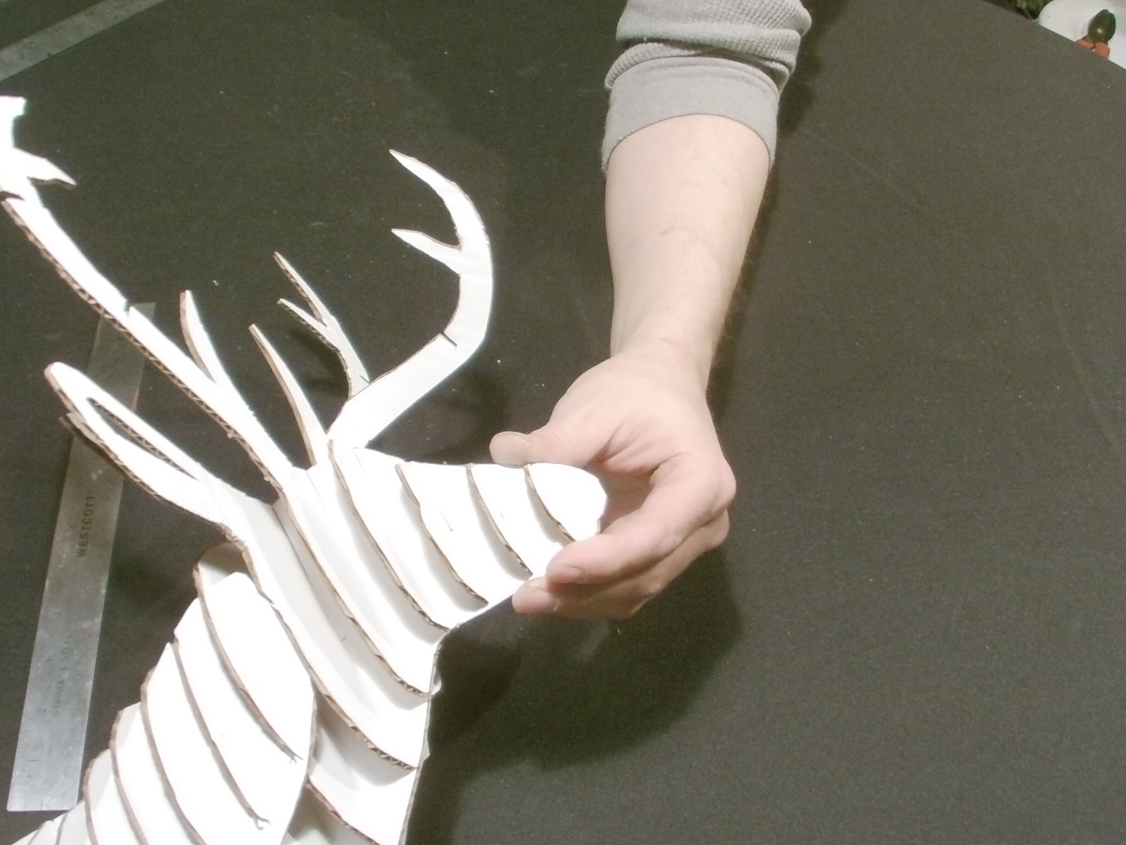 deer head (161).JPG