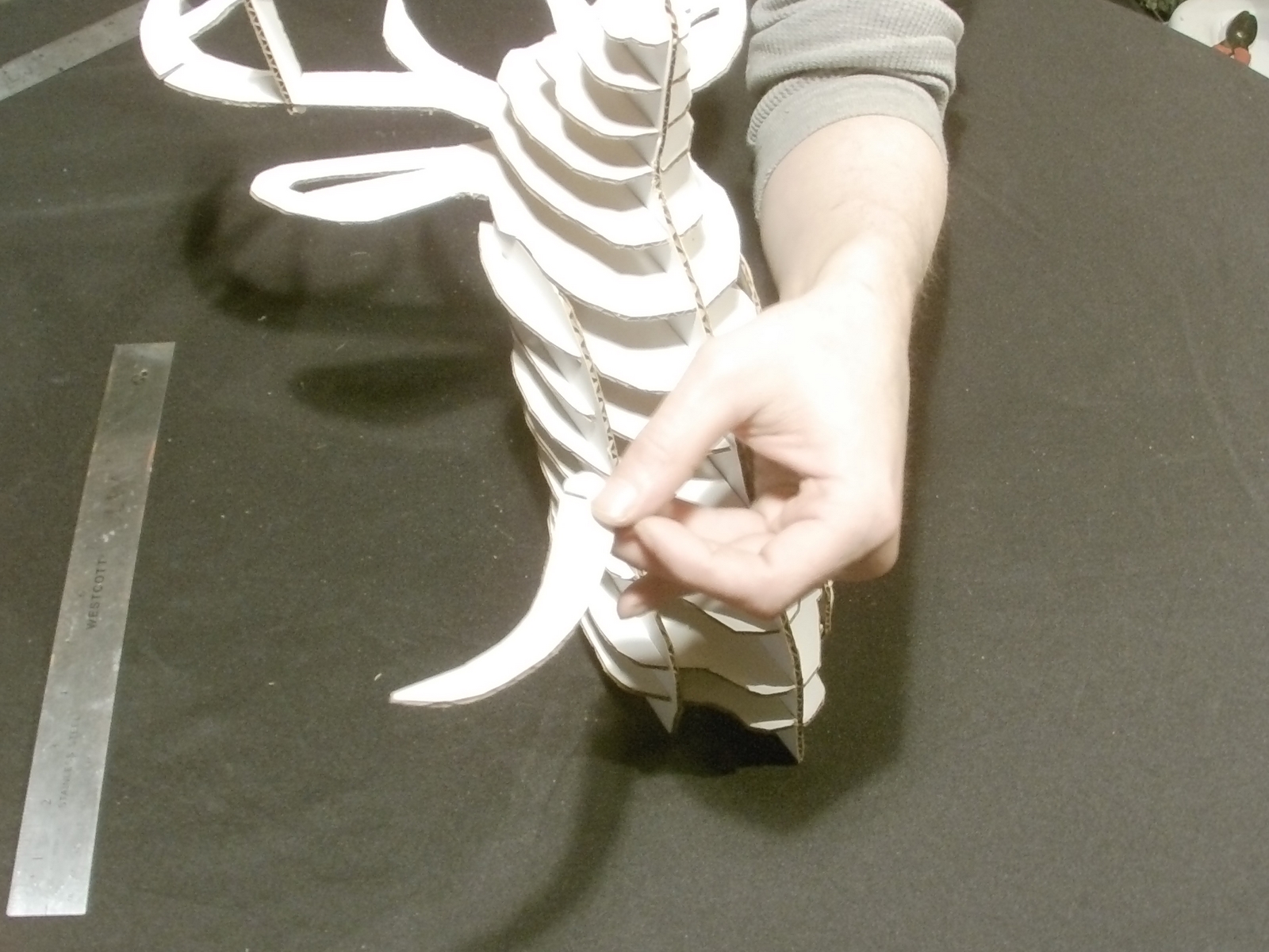 deer head (164).JPG