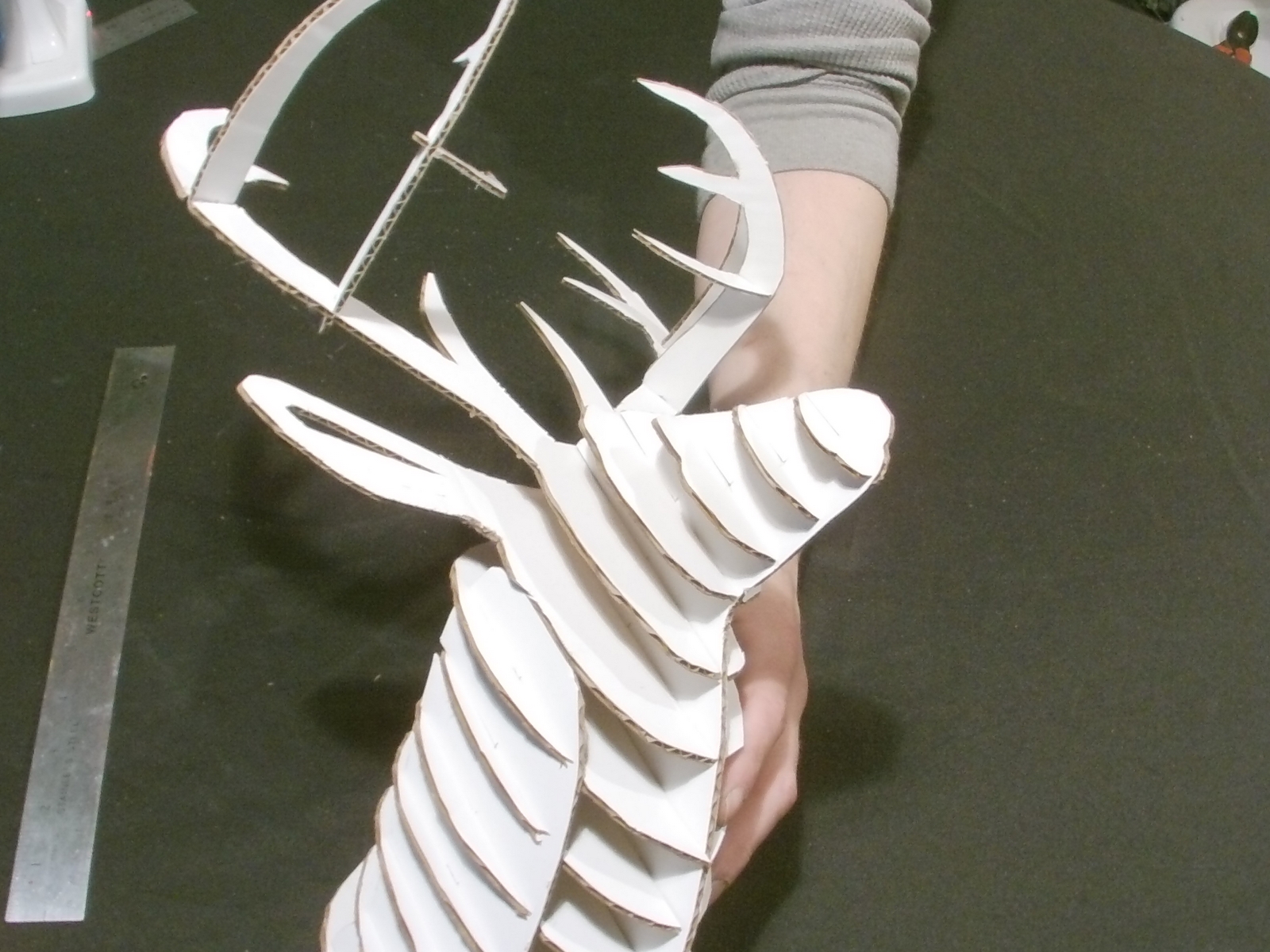 deer head (167).JPG