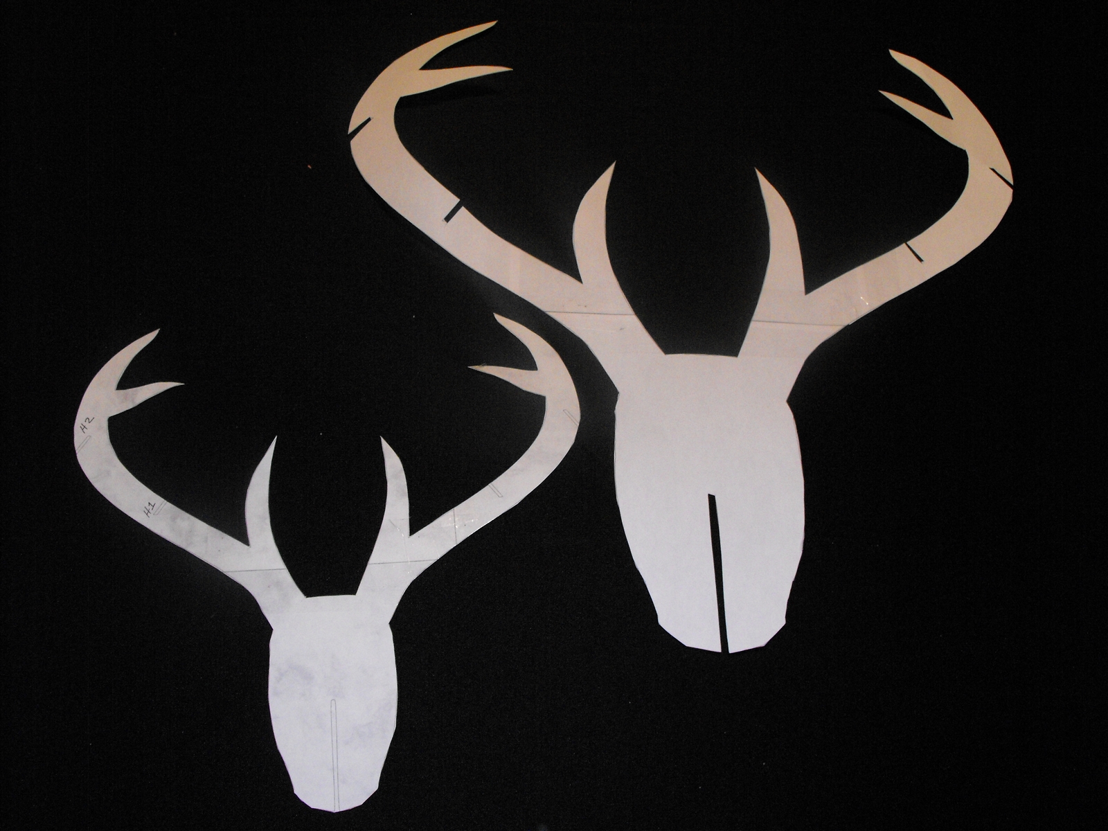 deer head (84).JPG