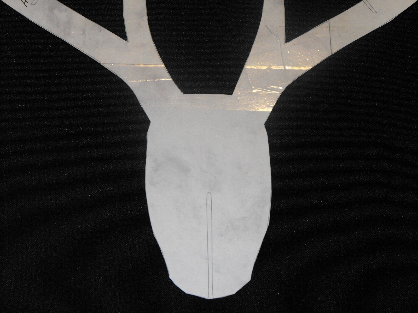 deer head (85).JPG