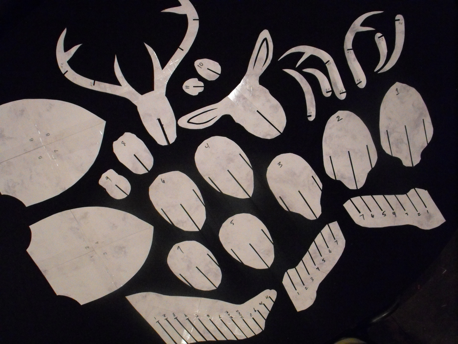 deer head (99).JPG