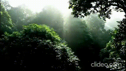 demogen.gif