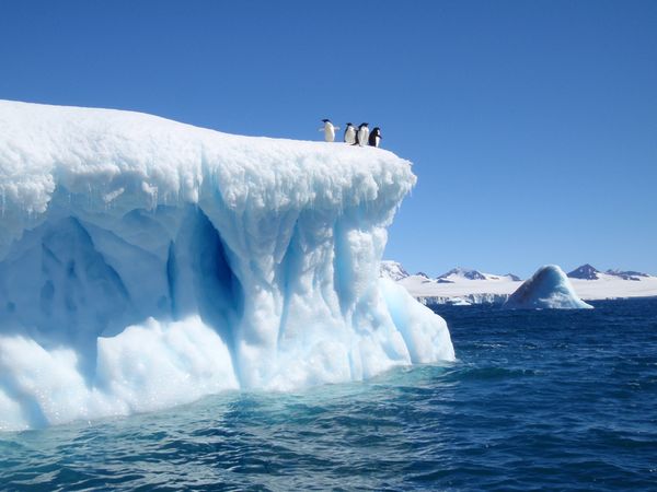 devil-island-iceberg-weddell-sea-adelie-penguins-antarctica_34421_600x450.jpg